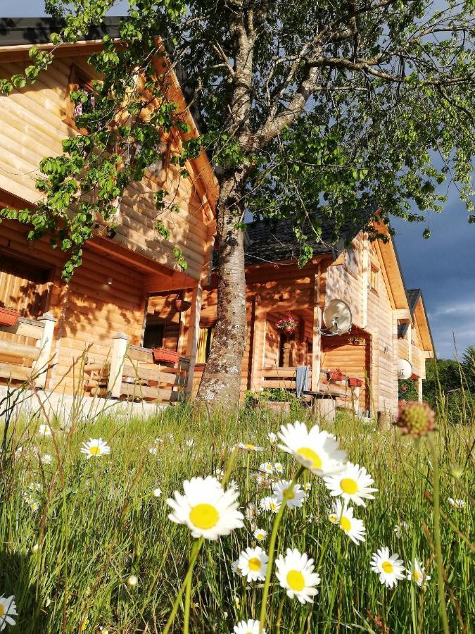 Sunny Hill Cabins קולאסין מראה חיצוני תמונה