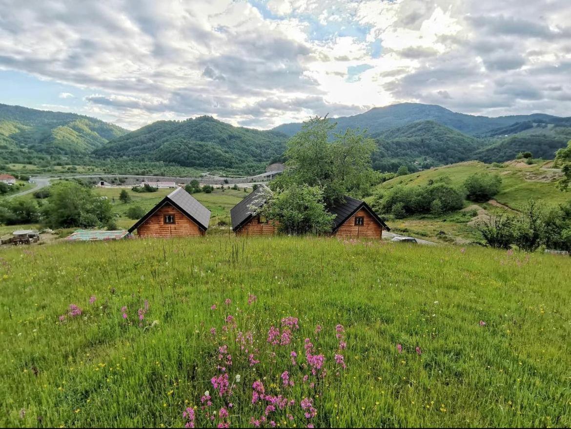 Sunny Hill Cabins קולאסין מראה חיצוני תמונה